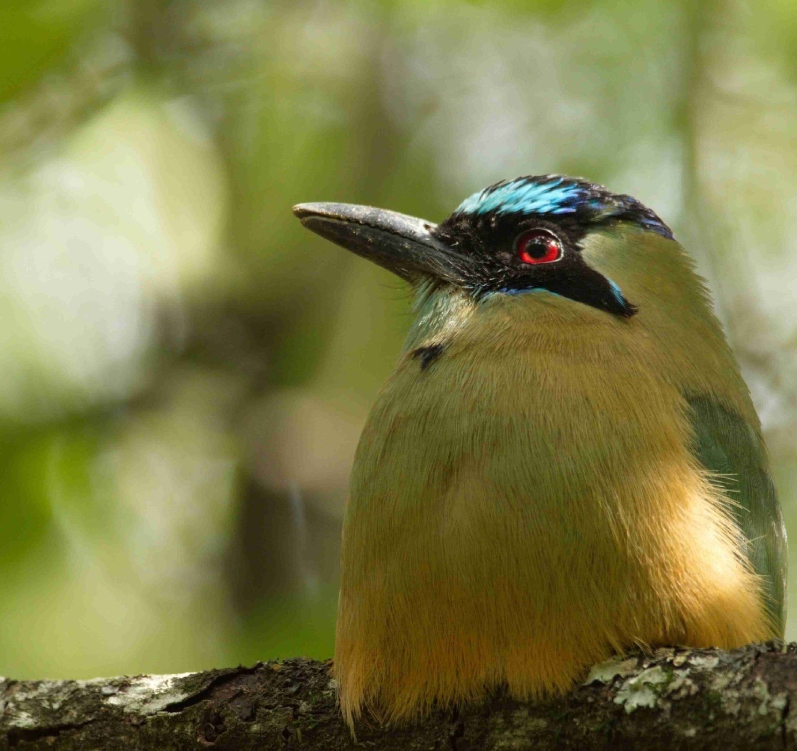 fotos web cerro verde_11zon