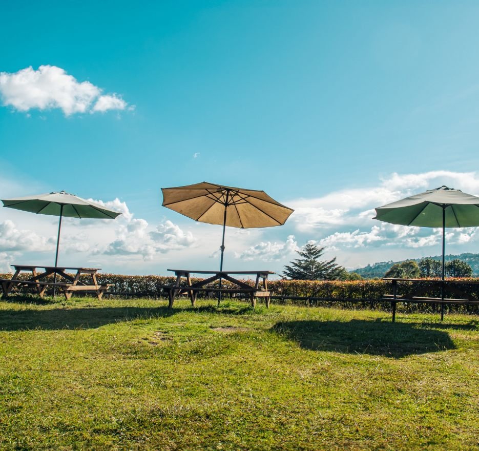 fotos web cerro verde_PICNIC 36_30_11zon