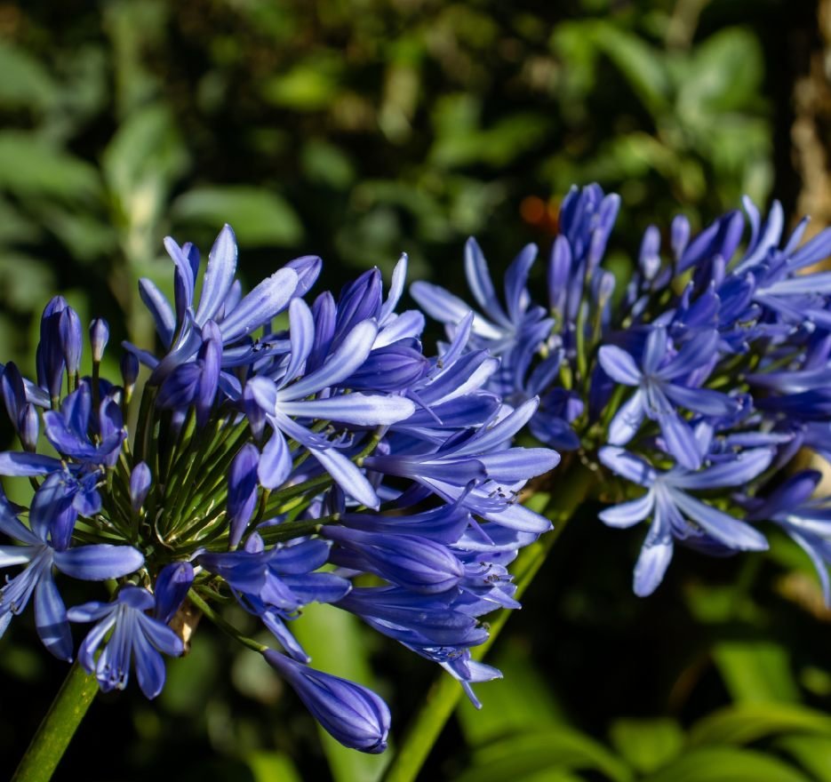 fotos web cerro verde_SENDERISMO 34_38_11zon