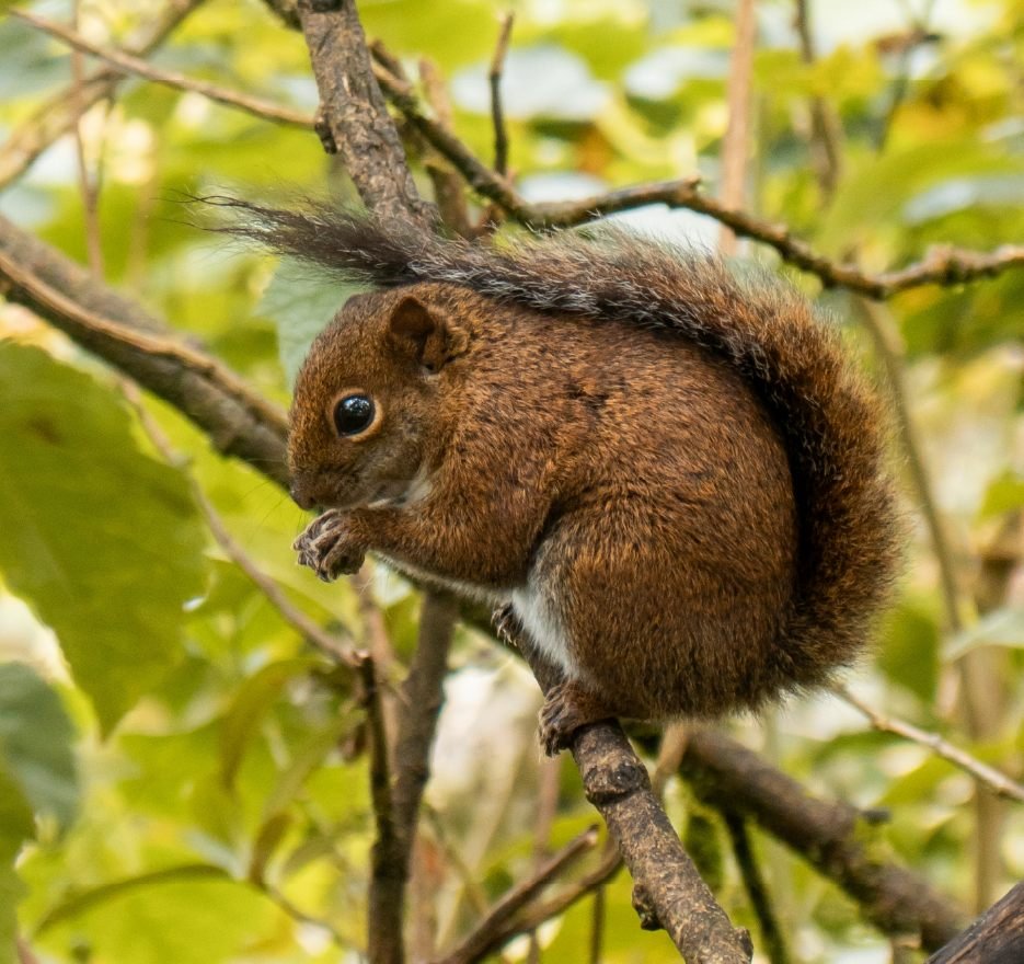 fotos web cerro verde_SENDERISMO 35_39_11zon